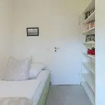 Utsicht Halebull